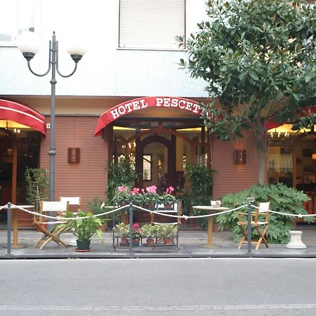 Pescetto Hotel 2*