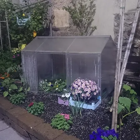 Pescetto 2* 알벤가