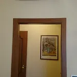 Pescetto Hotel 2*