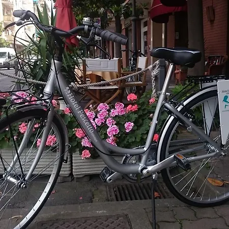 Hotel Pescetto 2*